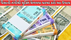 આ 5 વસ્તુ ઘરમાં રાખવાથી દૂર થશે આર્થિક તંગી