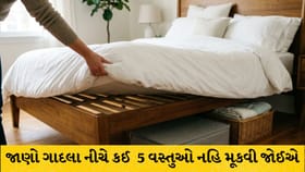ગાદલા નીચે ન રાખો આ 5 વસ્તુઓ: બગડી શકે છે વાસ્તુ
