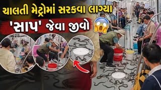 Trending Video: મેટ્રોમાં ચારેય બાજુ સાપ જેવા જીવો, અચાનક ફ્લોર પર સરકવા લાગ્યા આ ખતરનાક જંતુઓ