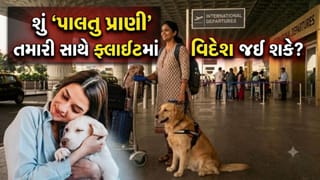 શું ‘પાલતુ પ્રાણી’ તમારી સાથે ફ્લાઇટમાં વિદેશ જઈ શકે? તેમના માટે પાસપોર્ટ-વિઝા કઢાવવા પડે? મહત્વના નિયમો જાણી લો