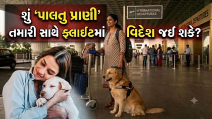 તમારા પેટને વિદેશ લઈ જવો છે? તેને પાસપોર્ટ-વિઝાની જરૂર પડશે કે નહીં?