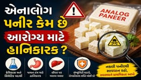એનાલોગ પનીરમાં એવુ તો શું છે કે સ્વાસ્થ્ય માટે છે હાનિકારક ?