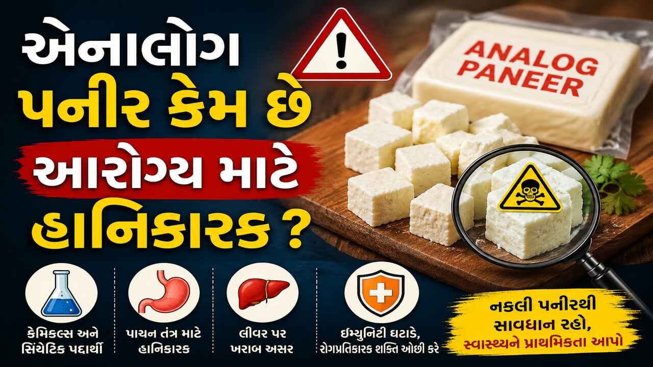એનાલોગ પનીરમાં એવુ તો શું છે કે સ્વાસ્થ્ય માટે છે હાનિકારક ? પનીર અસલી છે કે નકલી તે કેવી રીતે જાણશો એનાલોગ પનીરમાં એવુ તો શું છે કે સ્વાસ્થ્ય માટે છે હાનિકારક ?
