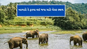 ભારતમાં આ સ્થળ હાથીઓ માટે સ્વર્ગ, વેકેશનમાં બાળકોને લઈ જાવ