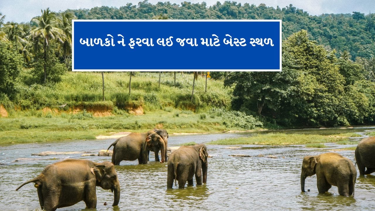  કહેવામાં આવે કે, અહી એશિયાઈ હાથીઓની સંખ્યા સૌથી વધારે છે. કર્ણાટક ટુરિઝમે આને દુનિયાના સૌથી મોટા એશિયાઈ હાથીના ઝુંડનો વિસ્તાર બતાવ્યો છે.