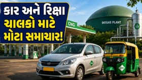 પેટ્રોલમાં બાદ હવે CNG-PNGમાં ભેળવાશે બાયોગેસ! સરકારે લીધો મોટો નિર્ણય