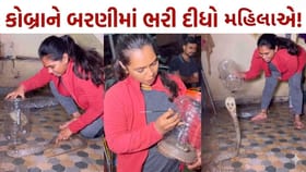 વાહ દીદી વાહ! ઘરમાં ઘુસ્યો કોબ્રા તો યુવતીએ બરણીમાં ભરી લીધો,જુઓ-Video