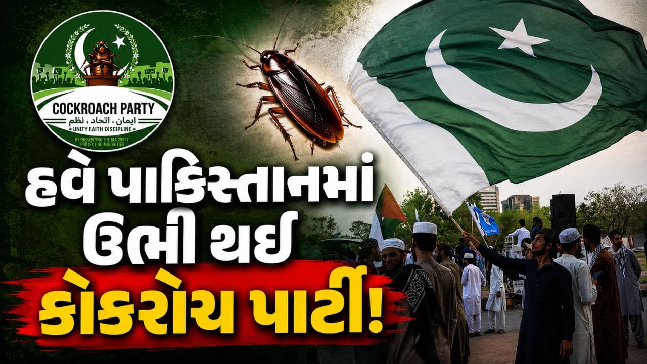એકદમ કોપી પેસ્ટ! હવે પાકિસ્તાનમાં પણ ઉભા થયા 'કોકરોચ'.. બની ગઈ કોકરોચ પાર્ટી પાકિસ્તાન