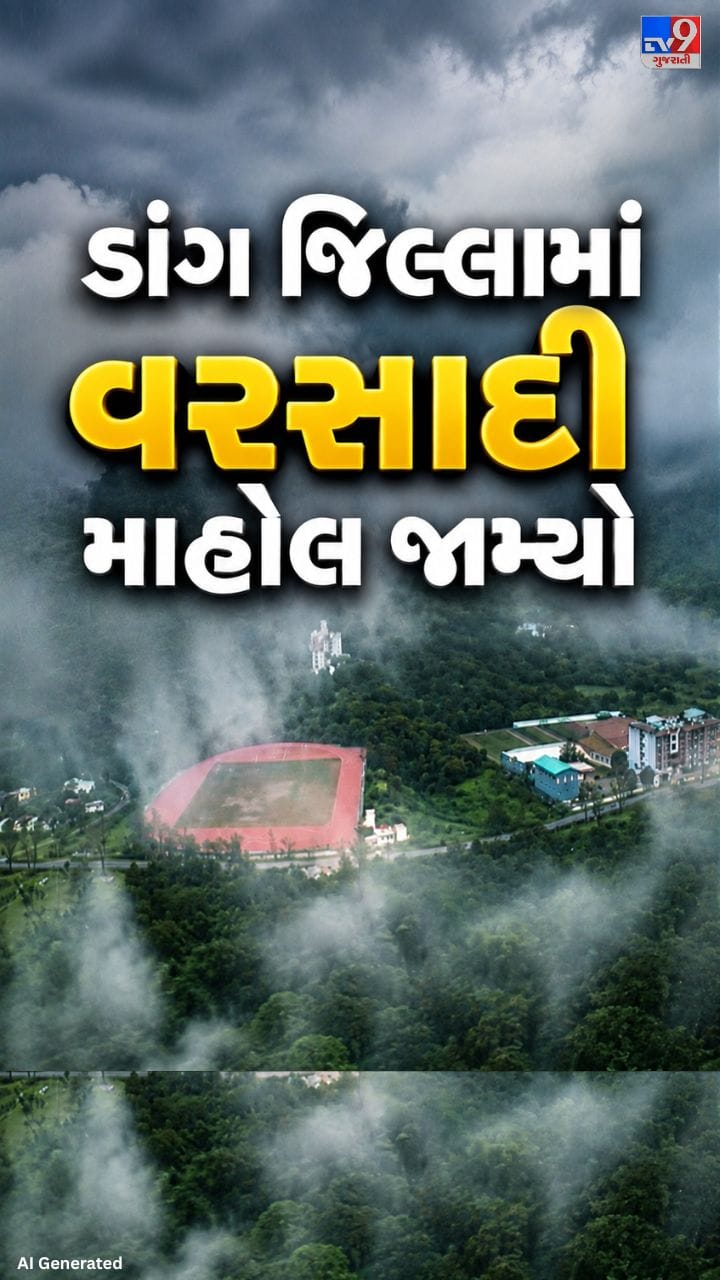 સાપુતારા સહિત પર્વતીય વિસ્તારો ધુમ્મસથી ઢંકાયા