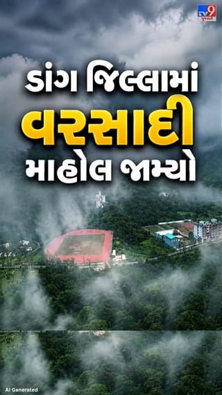 સાપુતારા સહિત પર્વતીય વિસ્તારો ધુમ્મસથી ઢંકાયા