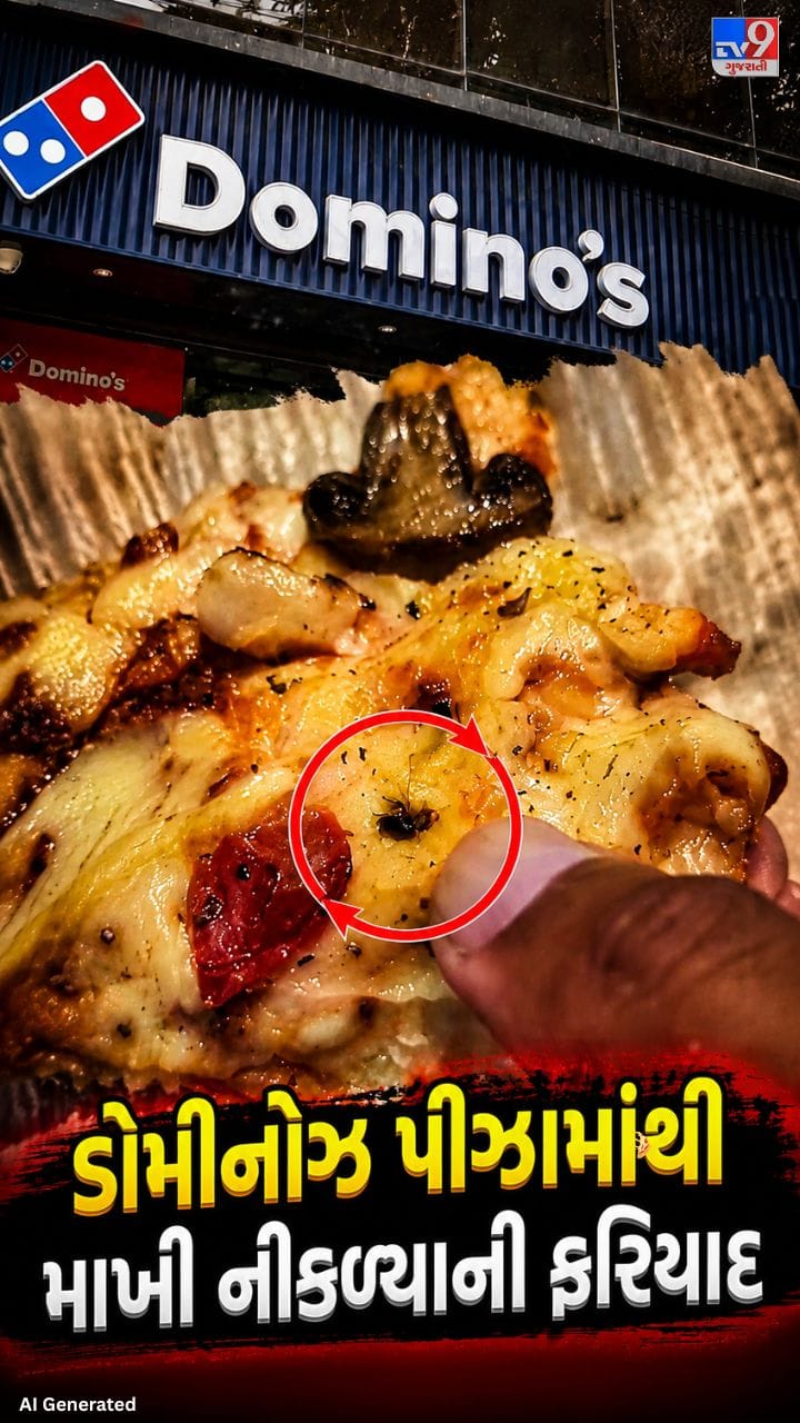 ગ્રાહક પીઝા ખાઇ રહ્યા હતા તે સમયે માખી નીકળતા કરી ફરિયાદ