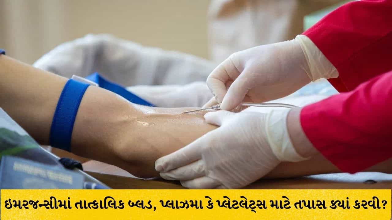 મેડિકલ ઇમરજન્સીમાં તાત્કાલિક જોઈએ છે બ્લડ, પ્લાઝમા કે પ્લેટલેટ્સ? ફોન પર ઓનલાઇન જાણો ઉપલબ્ધતા, આ રહી સંપૂર્ણ રીત