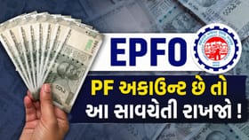 PF ખાતા ધારકો માટે અલર્ટ! આ સાવચેતી ના રાખી તો ખાતામાંથી ઉડી જશે પૈસા