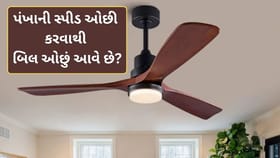 પંખાની સ્પીડ ઓછી કરવાથી વીજળીનું બિલ ઓછું આવે છે? જાણો સત્ય