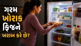 ગરમ ખોરાક રેફ્રિજરેટરમાં રાખવાથી શું ખરેખર ફ્રિજ ખરાબ થઈ જાય છે? જાણો
