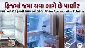 ફ્રિજની અંદર જમા થવા લાગે છે પાણી? તો બસ કરી લો આ કામ તરત જ થઈ જશે ઠીક