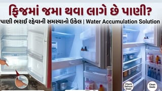 ફ્રિજની અંદર જમા થવા લાગે છે પાણી? તો બસ કરી લો આ કામ તરત જ થઈ જશે ઠીક
