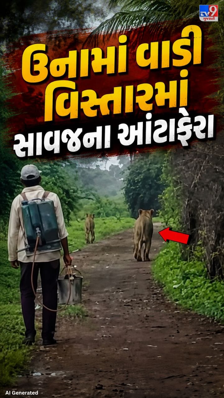 પાતાપુરમાં સિંહ યુગલની સિંહબાળ સાથે ખેતરમાં લટાર