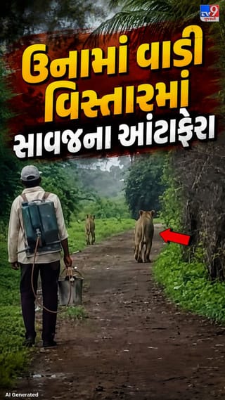 પાતાપુરમાં સિંહ યુગલની સિંહબાળ સાથે ખેતરમાં લટાર
