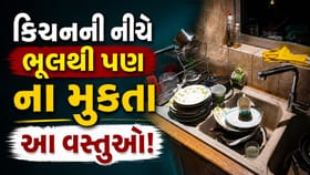કિચન સિંકની નીચે ભૂલથી પણ ના રાખતા આ 5 વસ્તુઓ! જાણો વાસ્તુ નિયમ