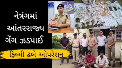 નેત્રંગ પોલીસે આંતરરાજ્ય ગેંગને ફિલ્મી ઢબે ઝડપી પાડી