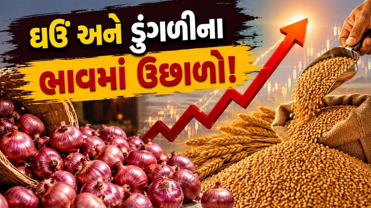 રસોડાનું બજેટ બગડશે.. ઘઉં અને ડુંગળીના ભાવ ઉછળ્યા, જાણો કેટલો વધ્યો ભાવ?