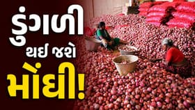 ફરી રડાવશે ડુંગળી ! દેશમાં વધવાના છે ભાવ, લોકોના ખિસ્સા પર પડશે બોજ