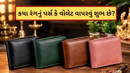 મહિલાઓ અને પુરુષોએ કયા રંગનું પર્સ કે વોલેટ વાપરવું? જાણો અહીં