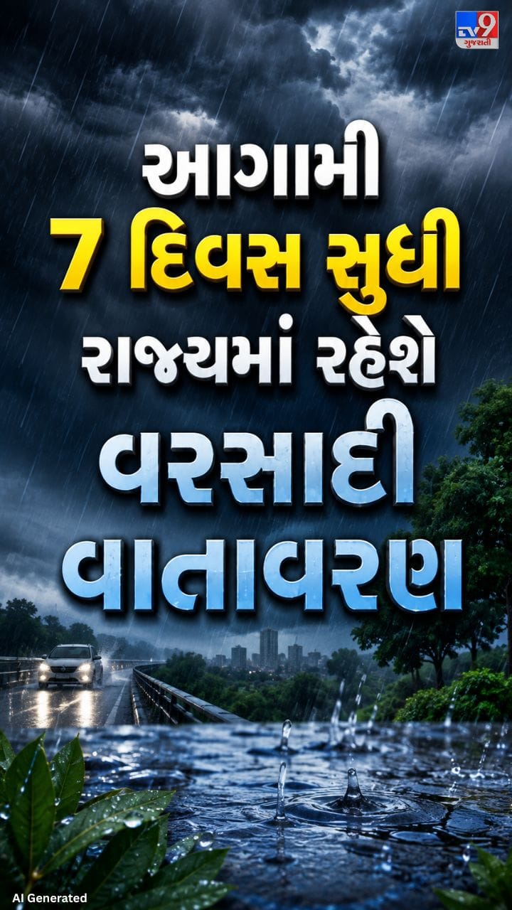 મોન્સૂન ટ્રફ  અને વેસ્ટર્ન ડિસ્ટર્બન્સને કારણે વરસાદી વાતાવરણ