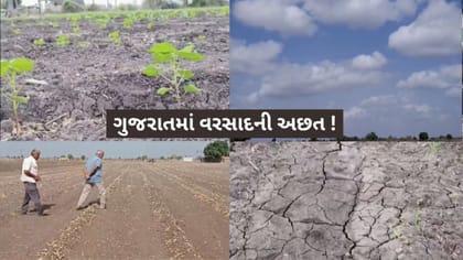 ગુજરાતમાં વરસાદની અછત ? કૃત્રિમ વરસાદ વરસાવવાની ચર્ચા