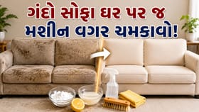 સોફા પર જામી ગઈ છે ધૂળ અને ગંદકી? મશીન વગર ઘરે આ રીતે કરો સફાઈ!