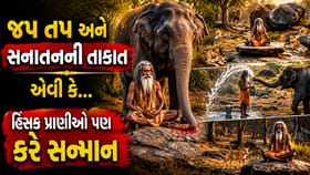 જપ-તપ, શક્તિ-ભક્તિ અને સનાતનની શક્તિ સામે વનનો રાજા પણ થઈ જાય નતમસ્તક