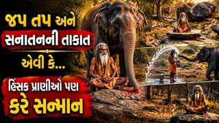 જપ-તપ, શક્તિ-ભક્તિ અને સનાતનની શક્તિ સામે વનનો રાજા પણ થઈ જાય નતમસ્તક- જુઓ Video