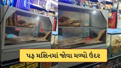 સુરત રેલવે સ્ટેશનનો વીડિયો વાયરલ, પફ મશિનમાં ઉંદર દેખાતા મચ્યો હડકંપ