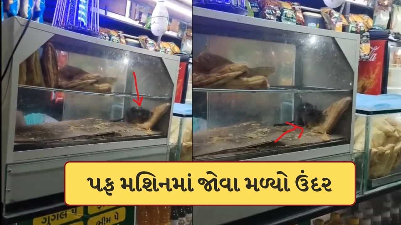 Breaking News : સુરત રેલવે સ્ટેશનની કેન્ટીનનો વીડિયો વાયરલ, પફ ગરમ કરવાના મશિનમાં ઉંદર દેખાતા મચ્યો હડકંપ