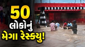 મેગા રેસ્ક્યૂ ઓપરેશન! સ્થાનિકોએ દોરડાની મદદથી 50 લોકોને કર્યા રેસ્ક્યુ