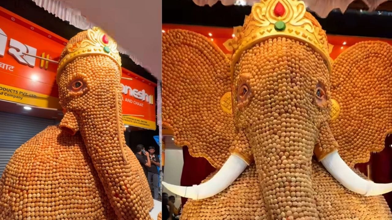 ગણેશોત્સવ દરમિયાન વિવિધ ગણેશ મંડળો દ્વારા દર વર્ષે કંઈક નવીન અને અલગ રજૂ કરવાનો પ્રયાસ કરવામાં આવે છે. સામાજિક સંદેશ, પર્યાવરણ સંરક્ષણ, કલા અને સર્જનાત્મકતાના માધ્યમથી ગણેશોત્સવને વધુ યાદગાર બનાવવાની પરંપરા પણ હવે જોવા મળી રહી છે. આ જ પરંપરામાં પાણીપુરીની પુરીઓથી બનાવવામાં આવેલી આ મૂર્તિએ ખાસ આકર્ષણ ઊભું કર્યું છે. (Image Source | Instagram)