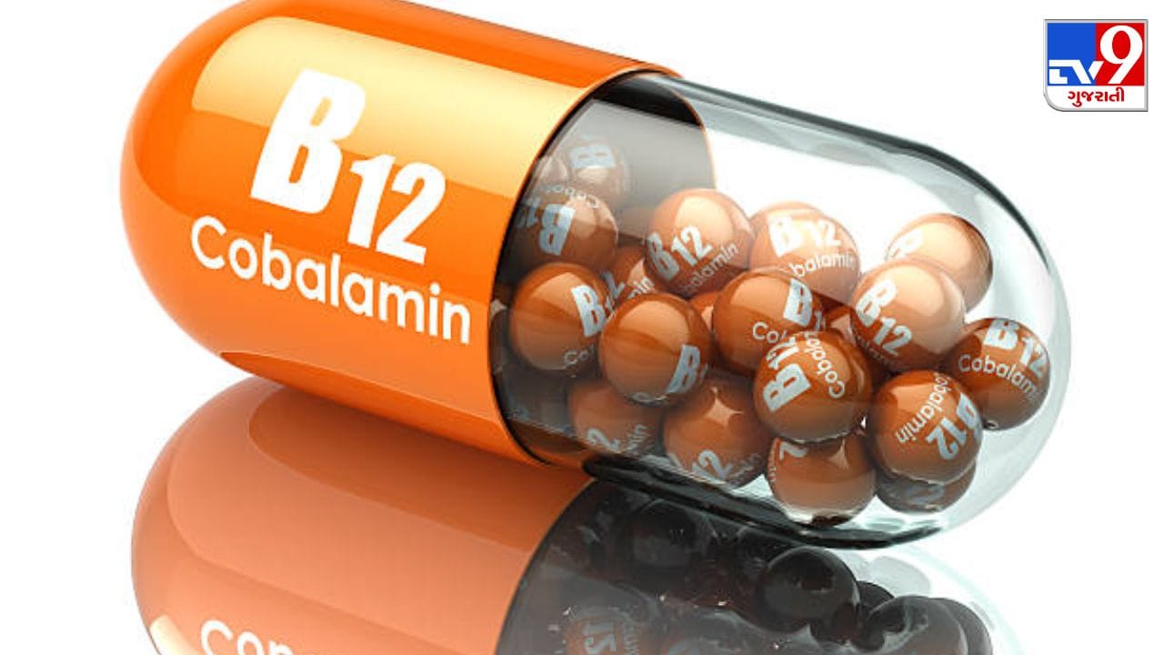 શાકાહારી લોકોમાં Vitamin B12ની ઉણપને લઈને ઘણીવાર સવાલો થાય છે. શરીર માટે જરૂરી આ વિટામિનની ઉણપને દૂર કરવા માટે યોગ્ય ડાયટ પર ધ્યાન આપવું જરૂરી છે. (Image Source | iStock)