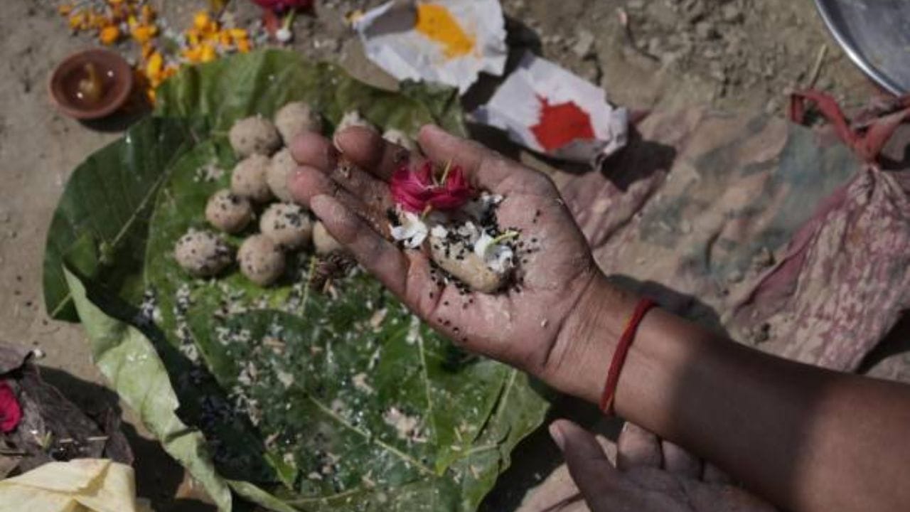 માન્યતા અનુસાર, પિતૃપક્ષ દરમિયાન શ્રાદ્ધ અને તર્પણની સાથે કેટલાક ઉપાય પણ કરવામાં આવે છે. પિતૃપક્ષમાં આ ઉપાય દરરોજ કરવાથી પિતૃદોષમાંથી મુક્તિ મળી શકે છે અને જીવનમાં સકારાત્મક બદલાવ આવી શકે છે. આ ઉપાયો પિતૃઓની આત્માને તૃપ્ત કરનારા પણ માનવામાં આવે છે. (Image Source | iStock)