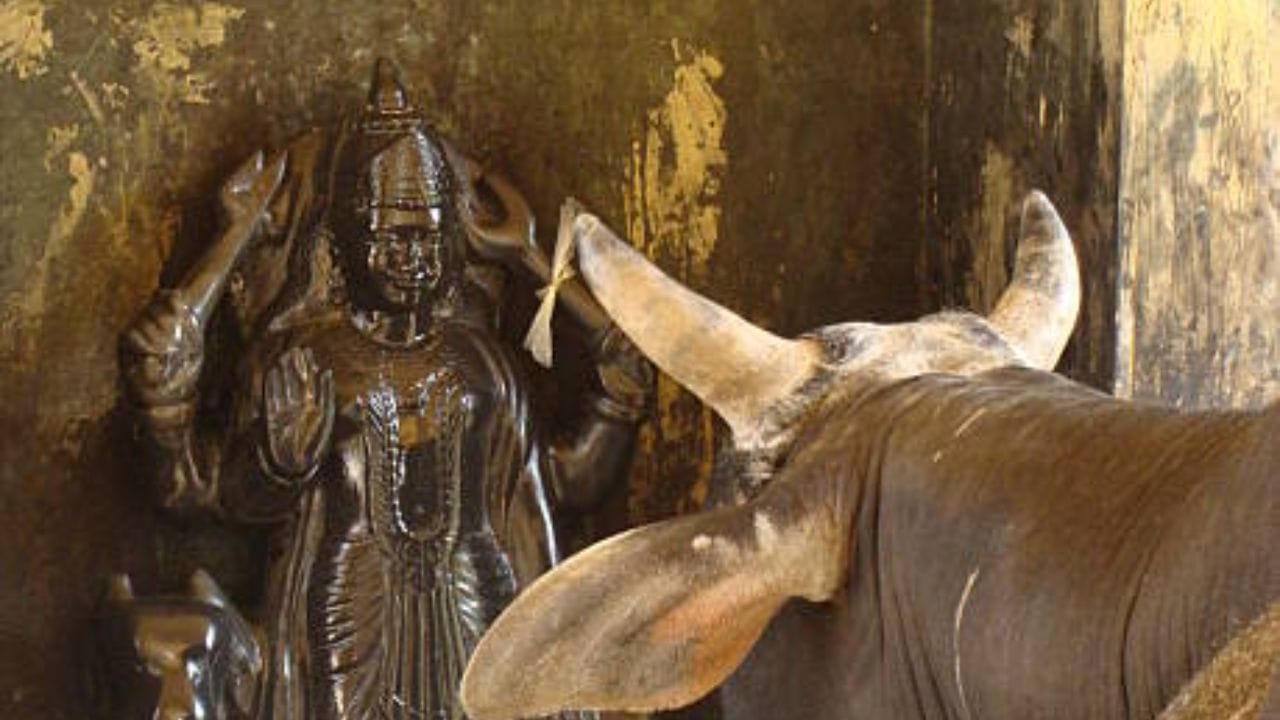 શનિવાર શનિદેવની પૂજા માટે વિશેષ દિવસ માનવામાં આવે છે. આ દિવસે ભક્તો શનિદેવની પ્રાર્થના કરી તેમના આશીર્વાદ મેળવે છે. શનિવારે ભગવાન હનુમાનની પૂજાનું પણ વિશેષ મહત્વ માનવામાં આવે છે. (Image Source | iStock)