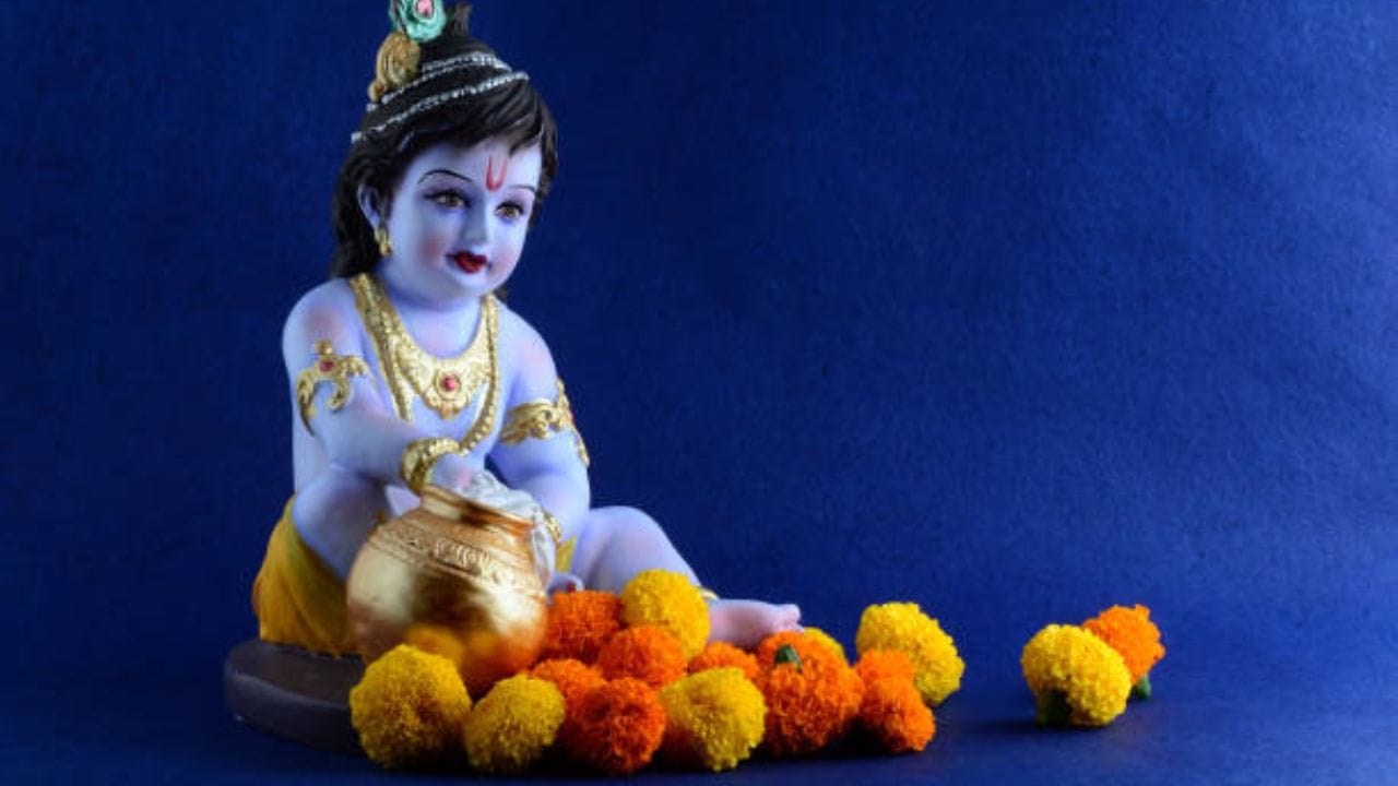 ઉપવાસ દરમિયાન દિવસના સમયે સૂવાનું ટાળવું જોઈએ, કારણ કે માન્યતા અનુસાર દિવસ દરમિયાન સૂવાથી ઉપવાસનું પુણ્ય ઓછું થાય છે. આ ઉપરાંત રાત્રે ચંદ્રદર્શન અને જન્મોત્સવની આરતી થાય ત્યાં સુધી મનને ભક્તિમાં જ લગાવી રાખવું જોઈએ. આ તમામ નિયમોનું યોગ્ય રીતે પાલન કરવાથી ઉપવાસ સફળ થાય છે અને પરિવારમાં સુખ, શાંતિ અને સમૃદ્ધિ આવે છે એવી ધાર્મિક માન્યતા છે. (Image Source | iStock)