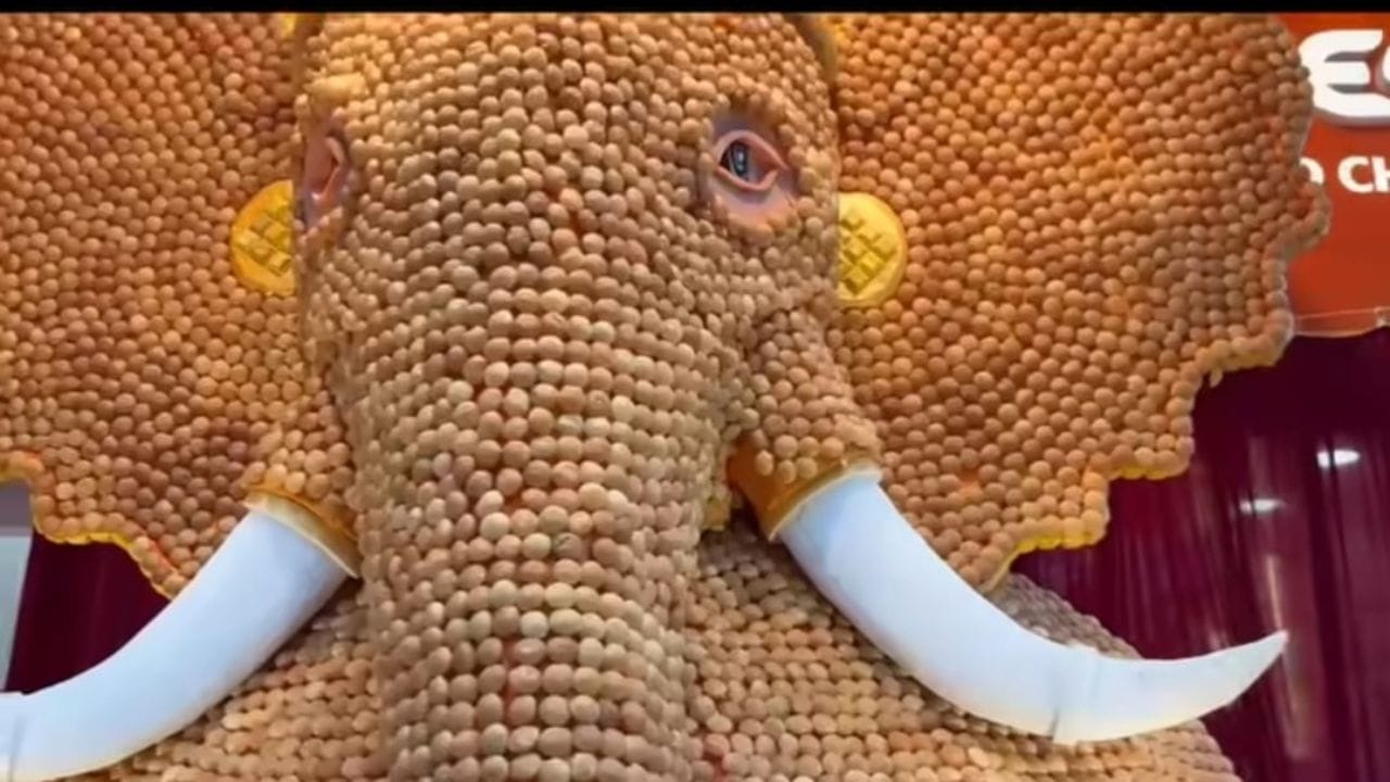 અગાઉ ગણેશ ભેળ દ્વારા નમકીન અને અમેરિકન પુરીનો ઉપયોગ કરીને ગણપતિ બાપ્પાની મૂર્તિ બનાવવામાં આવી હતી. જ્યારે આ વર્ષે પાણીપુરીની સંકલ્પના રજૂ કરીને હજારો પુરીઓમાંથી ગણરાયાનું ભવ્ય સ્વરૂપ સાકાર કરવામાં આવ્યું છે. (Image Source | Instagram)