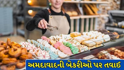 અમદાવાદની બેકરીઓ પર તવાઈ, પેકેજિંગ અને લેબલિંગના નિયમો થયા કડક !