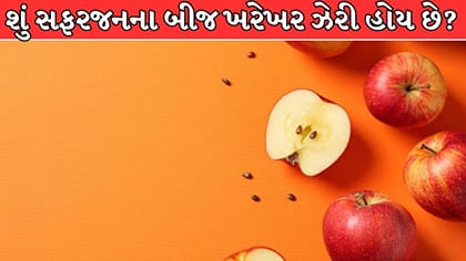 શું સફરજનના બીજ ગળી જવાથી કે ચાવવાથી પેટમાં બને છે ઝેર ?