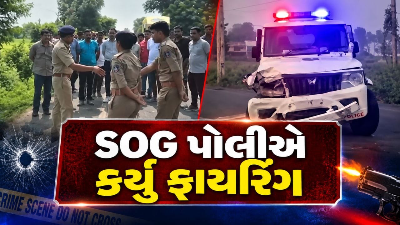 Breaking News : આરોપીએ હથિયાર બતાવતા SOG પોલીસે કર્યું ફાયરિંગ, અરવલ્લીમાં સર્જાયો ફિલ્મી સીન, જુઓ Video