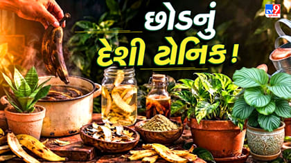 કેળાની છાલ છે કામની! ઘરે જ બનાવો છોડ માટે ઓર્ગેનિક ફર્ટિલાઇઝર