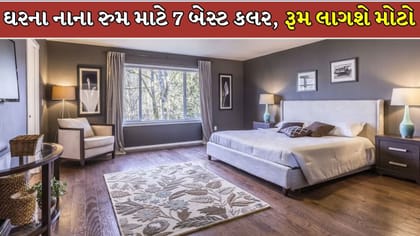 ઘરનો નાનો રુમ પણ લાગશે મોટું, દીવાલો માટે પસંદ કરો આ 7 રંગ