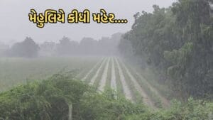 દુષ્કાળના ડાકલા વચ્ચે દ્વારકા- ભાણવડ પંથકમાં મેહુલિયે કીધી મહેર… ધરતીપુત્રોમાં ખુશીની લહેર – Video