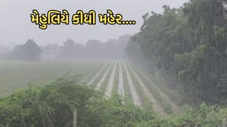 દુષ્કાળના ડાકલા વચ્ચે દ્વારકા- ભાણવડ પંથકમાં મેહુલિયે કીધી મહેર… ધરતીપુત્રોમાં ખુશીની લહેર – Video