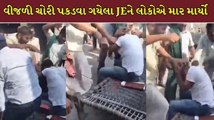 વીજળી ચોરી પકડવા પહોંચેલા JE સાથે ગામલોકોએ કરી મારપીટ !